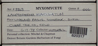 Image Associated With the Occurence